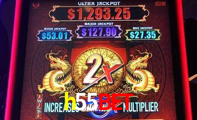 Desvendando o Mundo dos Jogos Virtuais na h55bet
