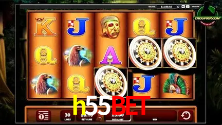 Descubra o Mundo do Cassino Online com h55bet